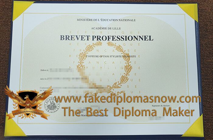 Académie de Lille diploma