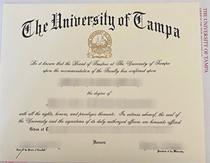 University of Tampa diploma