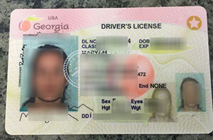 Georgia driver's license