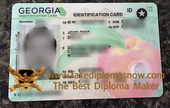 latest version Georgia driver's license