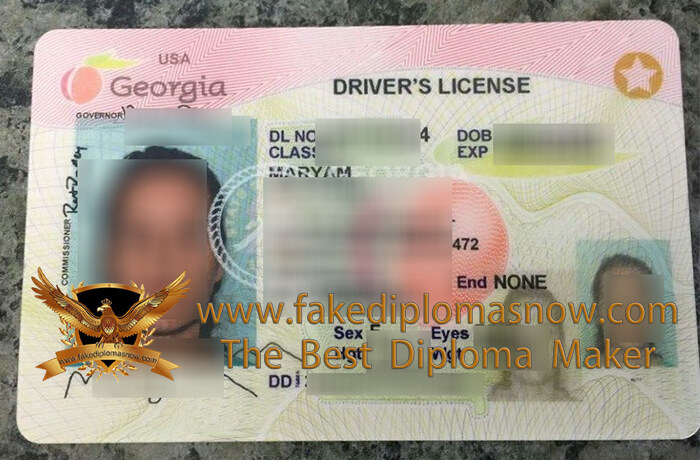 Georgia driver's license