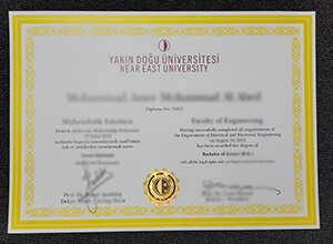 Yakın Doğu Üniversitesi diploma