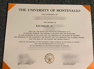 University of Montevallo diploma