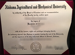 Alabama A&M University diploma