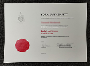 York University Degree