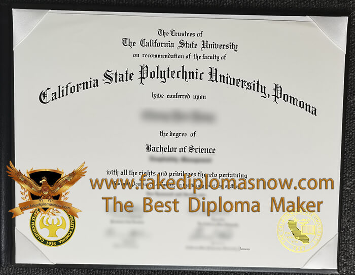 Cal Poly Pomona diploma