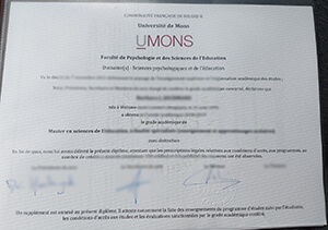 Université de Mons-Hainaut diploma