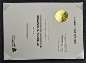 HBS Online certificate
