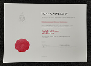 How can I make a fake York University Bachelor of Science Degree?