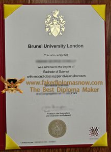 Brunel University London BS degree