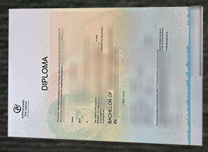 Hotelschool The Hague diploma certificate