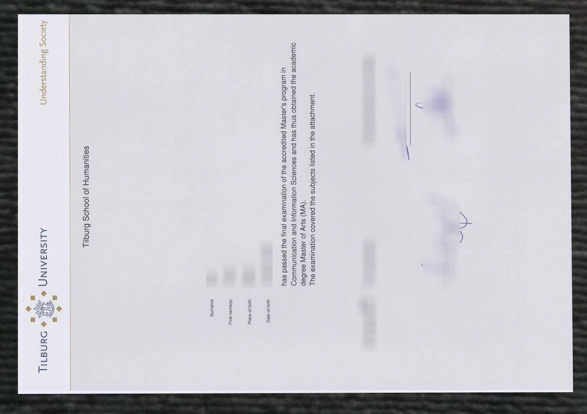 Tilburg University diploma certificate