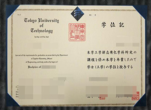 Tokyo University of Technology diploma
