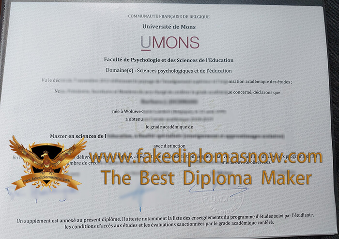 Université de Mons-Hainaut diploma