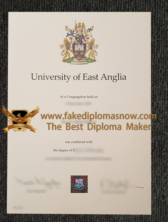 University of East Anglia diploma