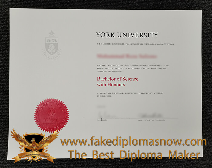 York University Bachelor of Science Degree