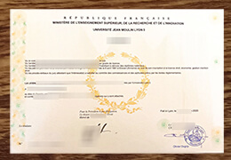 How to make fake Université Jean Moulin Lyon 3 diploma certificate?