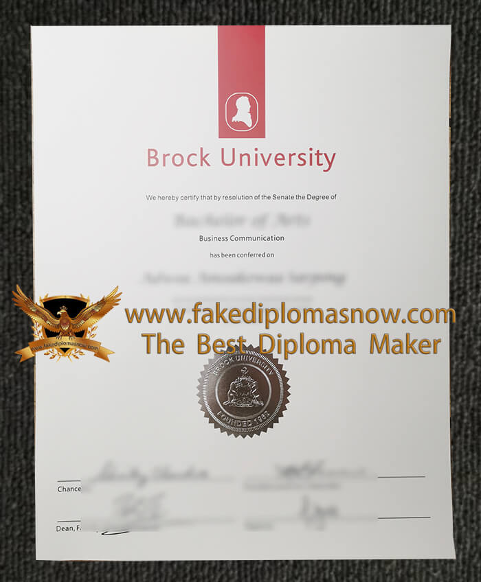 Brock university degree