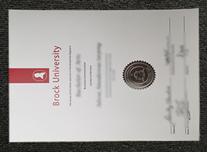 How to get a fake Brock University degree certificate in 2022?