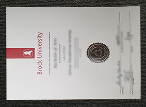 Brock university degree