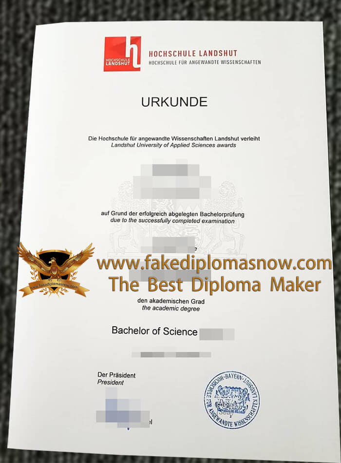 Hochschule Landshut diploma Hochschule Landshut diploma