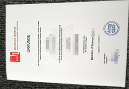 Hochschule Landshut diploma