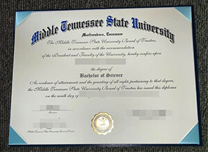 Middle Tennessee State University diploma certificate