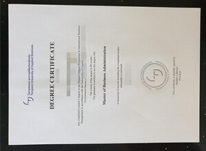 Tampere University of Applied Sciences diploma