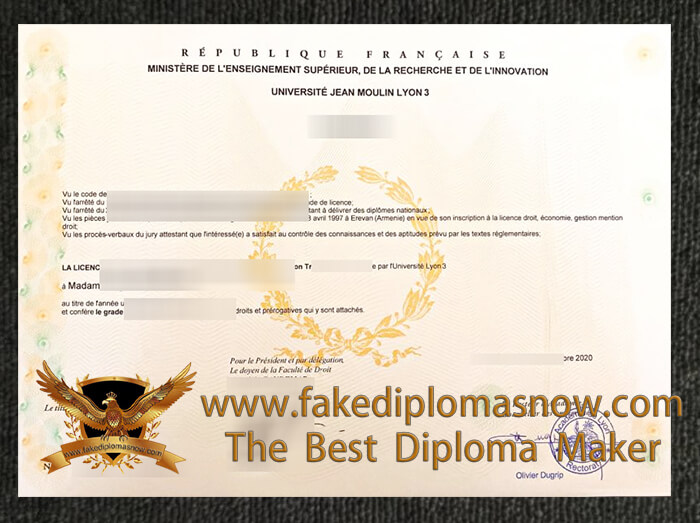 Université Jean Moulin Lyon 3 diploma Université Jean Moulin Lyon 3 diploma