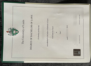 University of Leeds degree