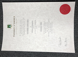 University of Limerick diploma sample