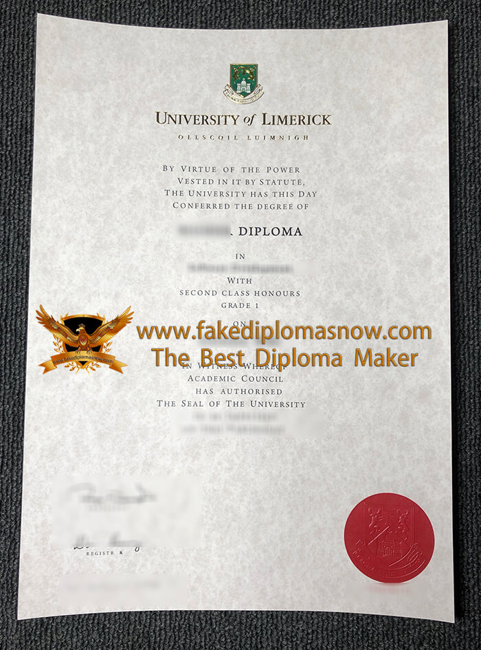 University of Limerick diploma