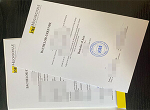 VWA-Hochschule Urkunde
