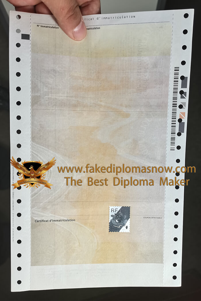 certificat d'immatriculation sample certificat d'immatriculation sample