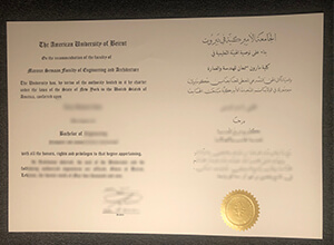 American University of Beirut diploma