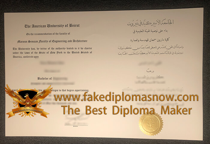 American University of Beirut diploma