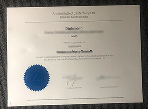 Ara Institute of Canterbury diploma certificate