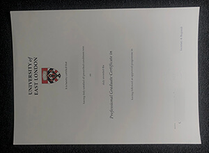 UEL Professional Graduate Certificate