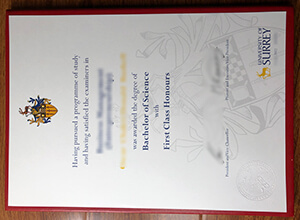 University of Surrey degree certificate