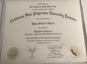 Order the latest version of the Cal Poly Pomona Diploma