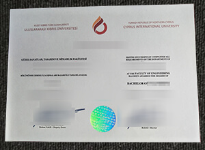 Cyprus International University diploma certificate