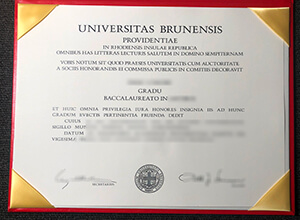 Universitas Brunensis diploma certificate