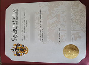 Cambrian College Graduate Certificate