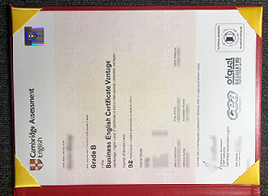 Cambridge B2 Business certificate