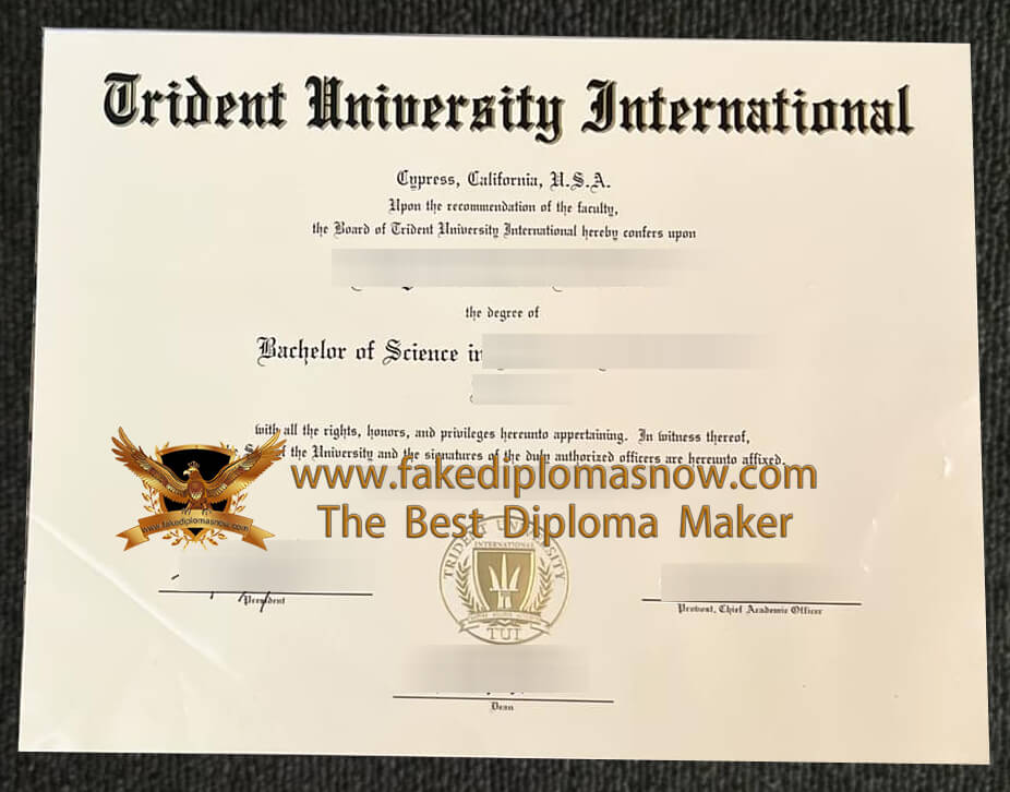 Trident University International diploma 