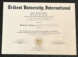 Trident University International diploma