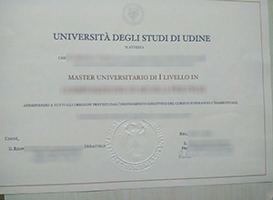 Università degli Studi di Udine LaureaUniversità degli Studi di Udine Laurea