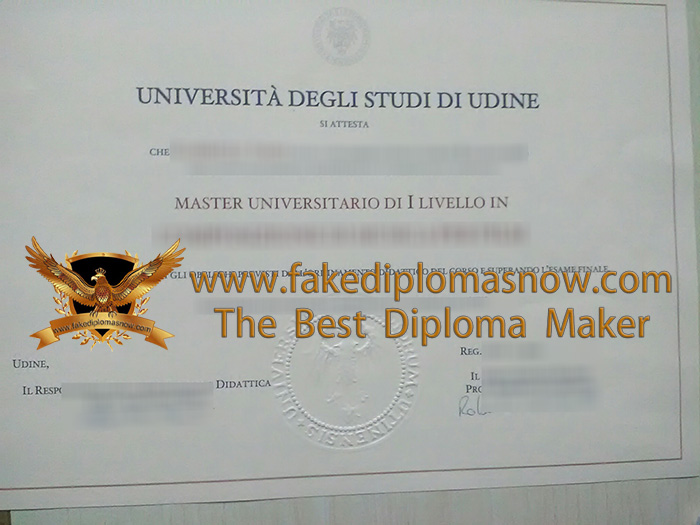 Università degli Studi di Udine Laurea