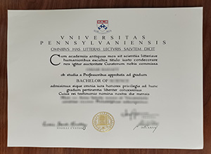 Universitas Pennsylvaniensis diploma certificate
