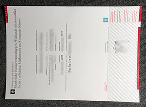 University of Amsterdam diploma